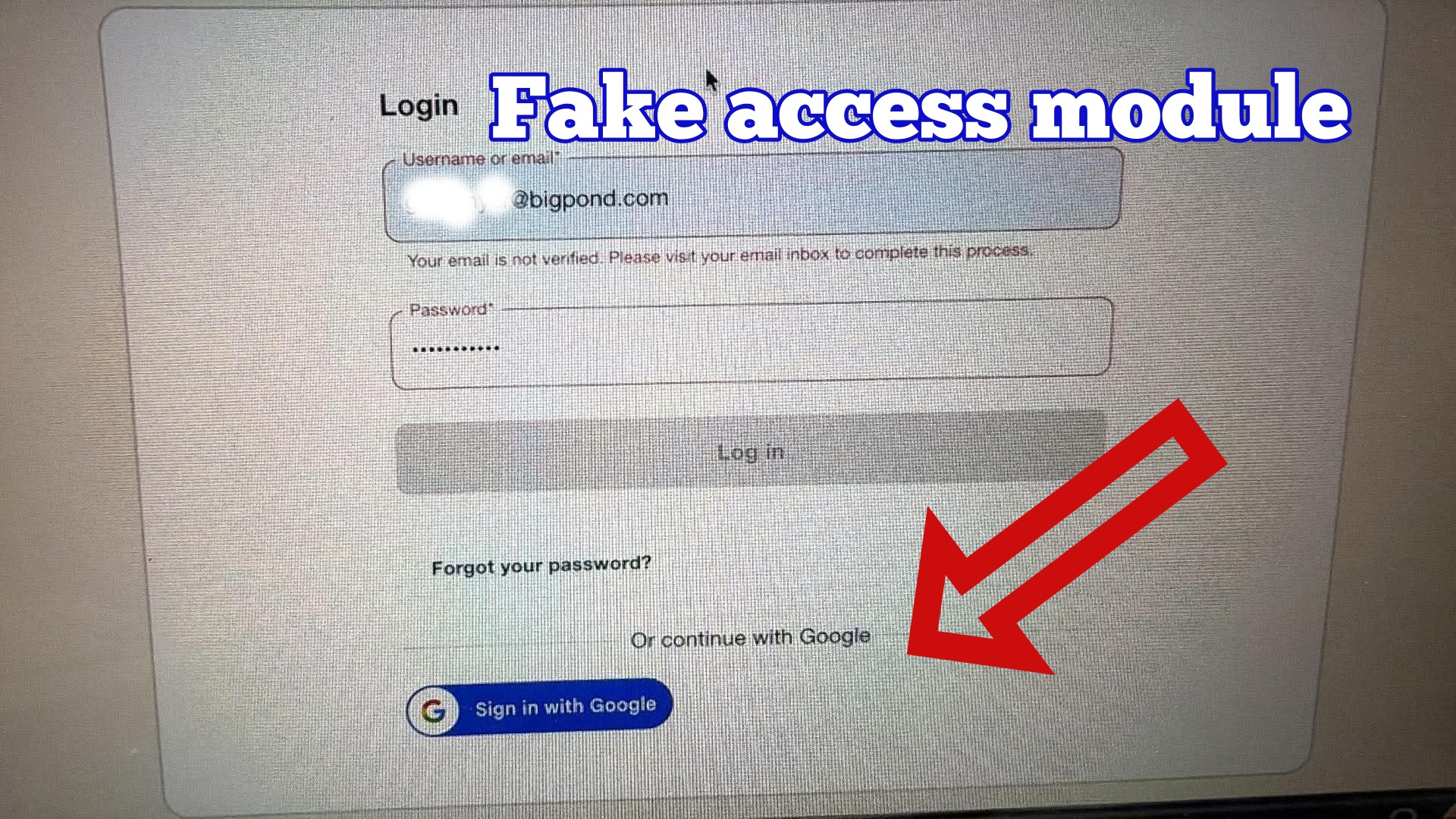 fake acces page